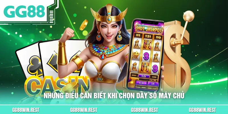 Những điều cần biết khi chọn dãy số máy chủ